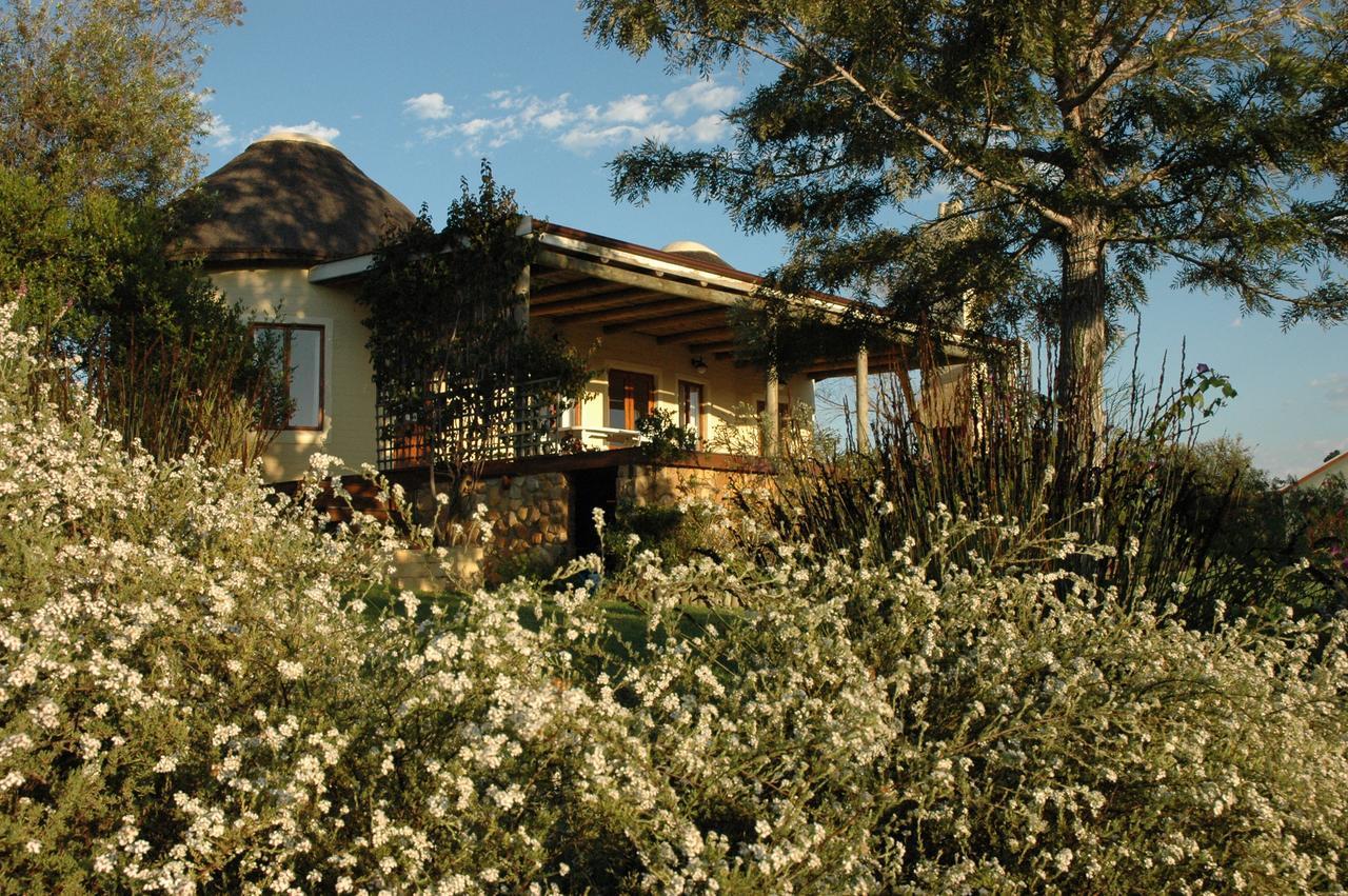 Forest Hills Найсне Экстерьер фото